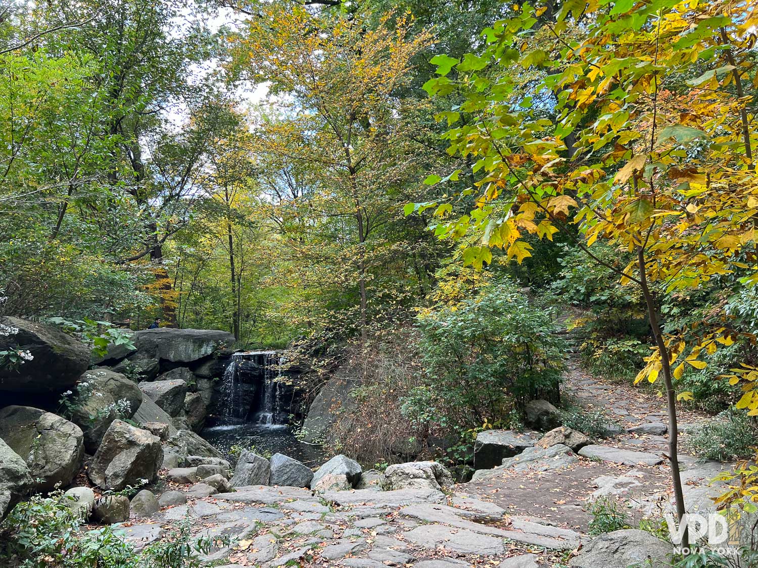 Central Park Em Nova York Guia Completo VPD Nova York